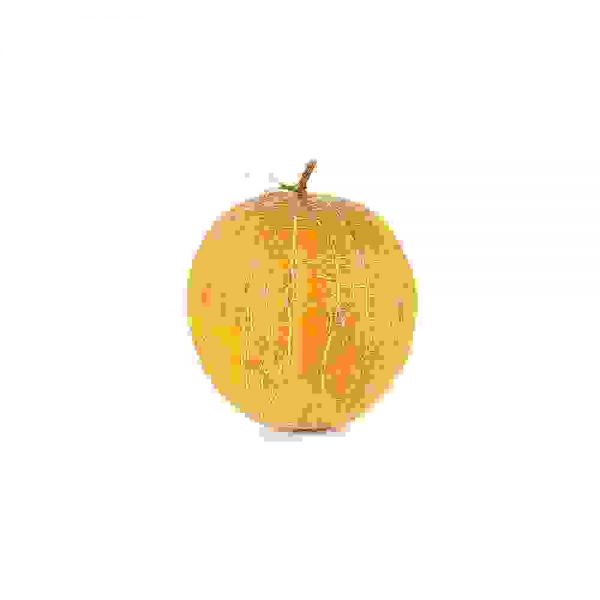 Muskmelon