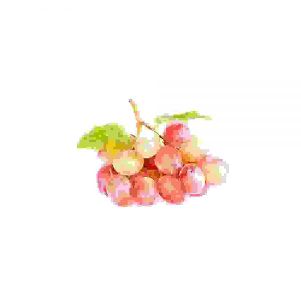 Pink grapes