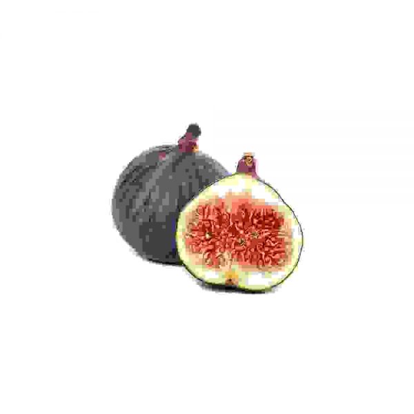Common fig