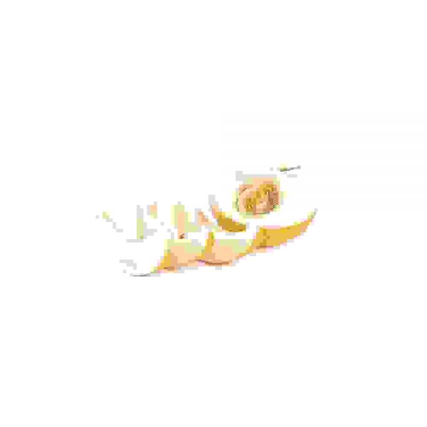 Pears fruit